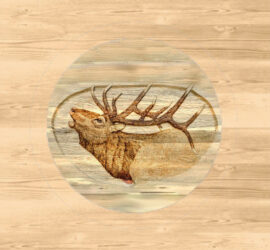 Elk bench featured